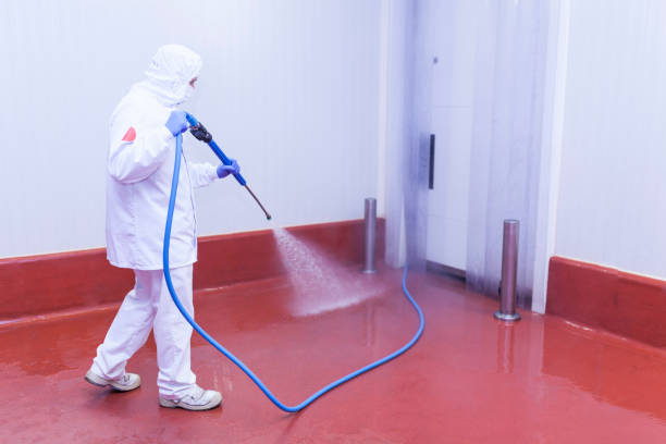 Best Residential House Exterior Washing  in Manning, IA